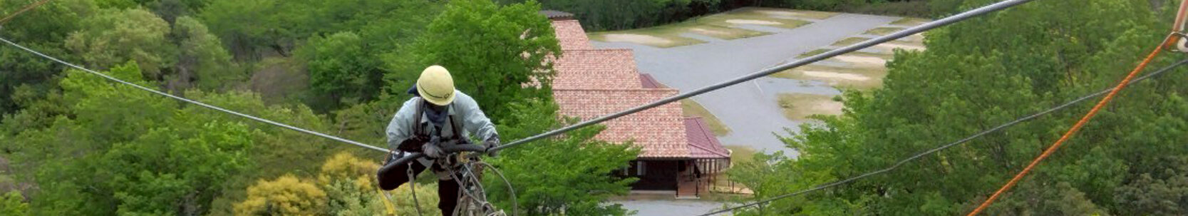 電線上で作業をする様子